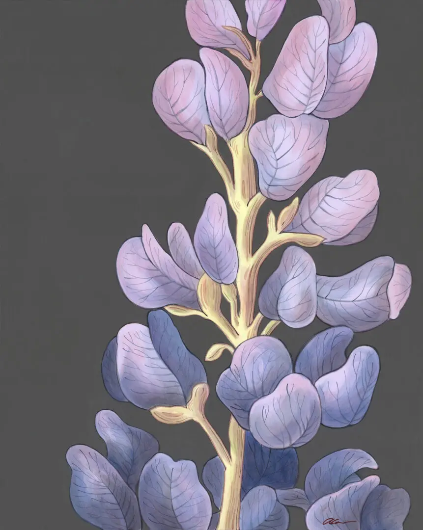lupine-purple-flower-art-painting-by-Allison-Cosmos