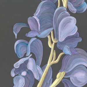 Monkshood-purple-wildflower-painting-by-Allison-Cosmos