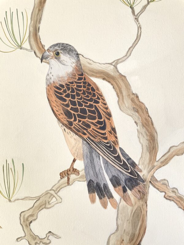 falcon-painting-bird-art-by-Allison-Cosmos