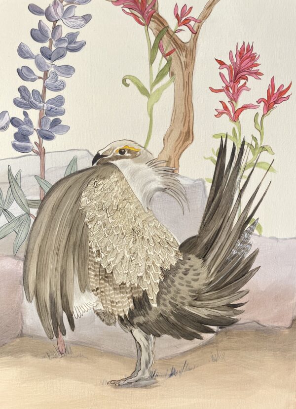 sage-grouse-painting-by-Allison-Cosmos