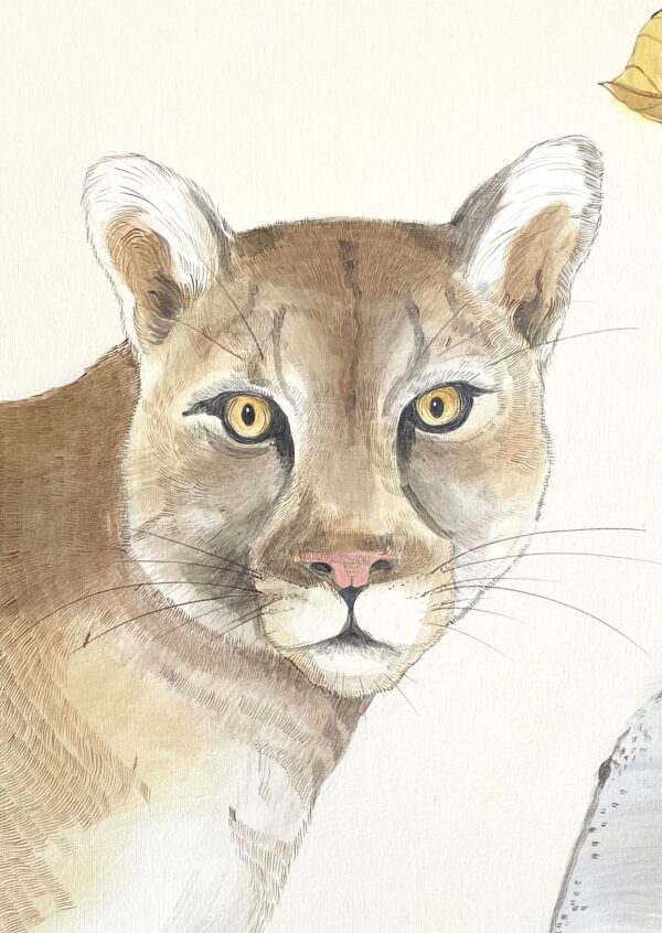 mountain-lion-art-painting-by-Allison-Cosmos