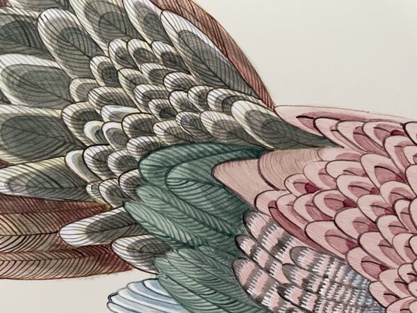 A "Clear and Pheasant Danger" Chinoiserie fox pheasant hunting scene-inspired drawing of a bird with colorful feathers.