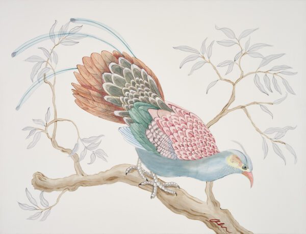 pheasant-dreams-chinoiserie-bird-art-painting-by-Allison-Cosmos