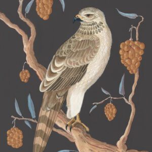 Hawk-on-Wood-Cooper's-Hawk-painting-by-Allison-Cosmos
