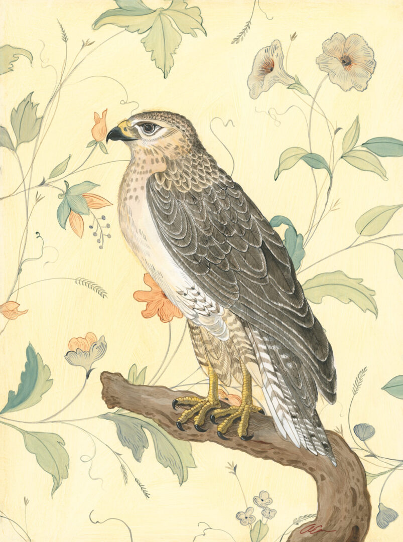 Grandmillennial-falcon-bird-painting-by-Allison-Cosmos