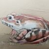 toad-frog-painting