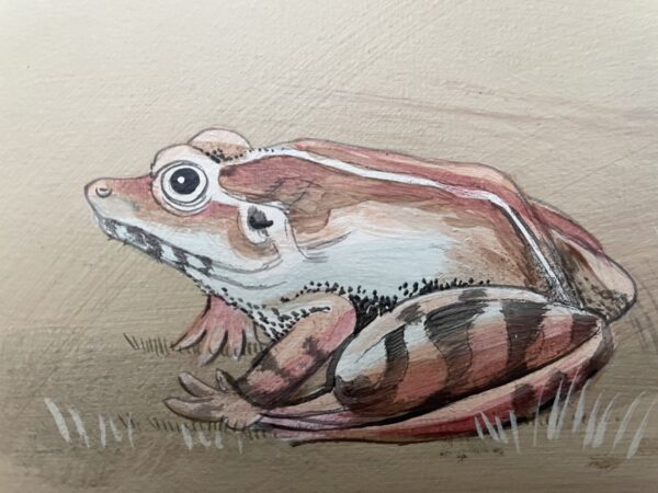 toad-frog-painting