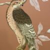 Coopers-hawk-art-painting-by-Allison-Cosmos