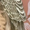 A painting of an "Eagle Opportunity" birds of prey painting on a pink background.