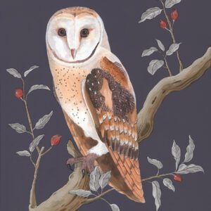 Owl-Night-Long-barn-owl-art-painting-by-Allison-Cosmos