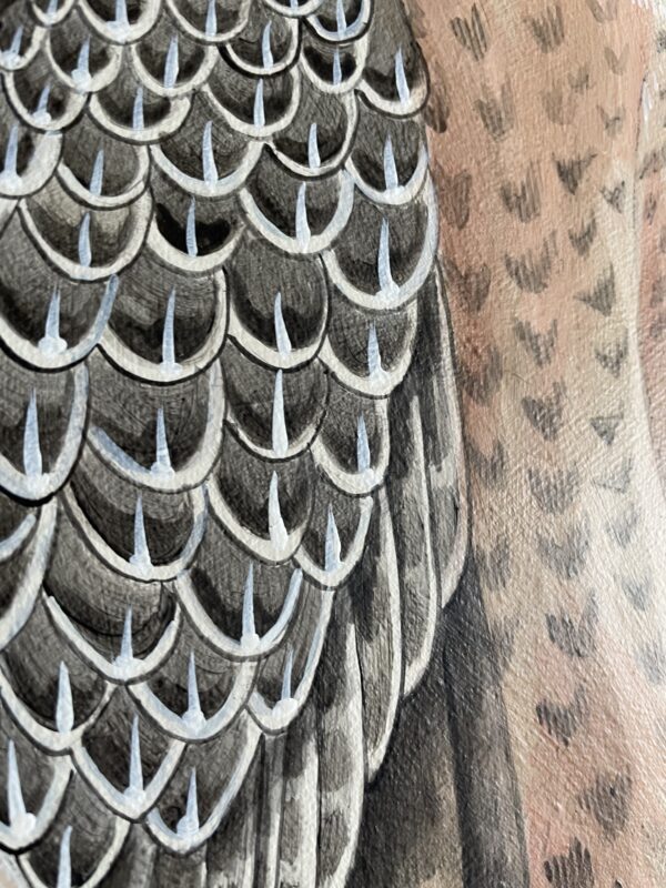 A close up of an owl's wings.
