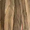 A close up of a bird's feathers.