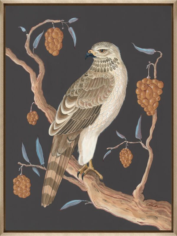 linen-hawk-on-wood-cooper's-hawk-by-Allison-Cosmos