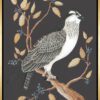 osprey-to-remember-chinoiserie-bird-of-prey-art-print-by-Allison-Cosmos