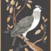 osprey-to-remember-chinoiserie-bird-of-prey-art-print-by-Allison-Cosmos