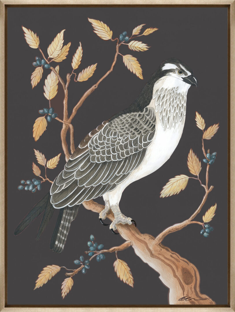 osprey-to-remember-chinoiserie-bird-of-prey-art-print-by-Allison-Cosmos