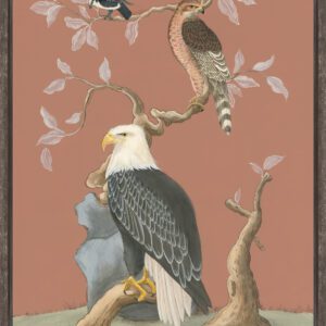 Eagle-Opportunity-American-bald-eagle-falcon-hawk-art-print-by-Allison-Cosmos