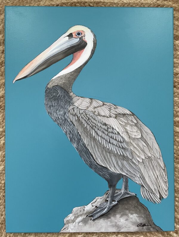 Rock-Steady-Pelican-art-painting-by-Allison-Cosmos