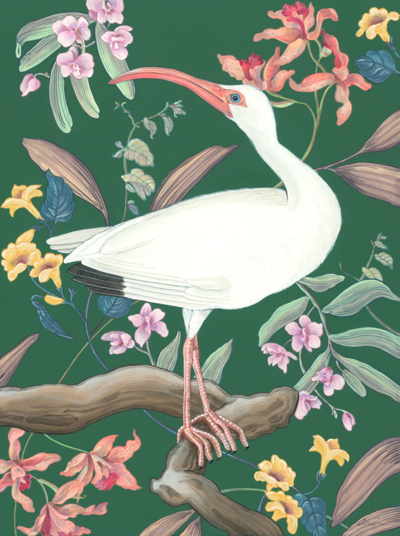 Tropical-Illusion-White-Ibis-orchid-art-painting-by-Allison-Cosmos