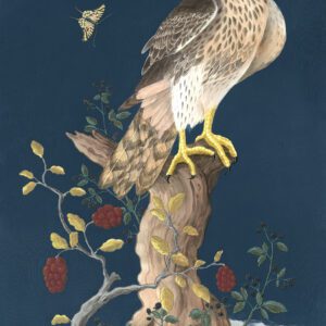 hawk-ward-silence-bird-of-prey-art-painting-by-Allison-Cosmos