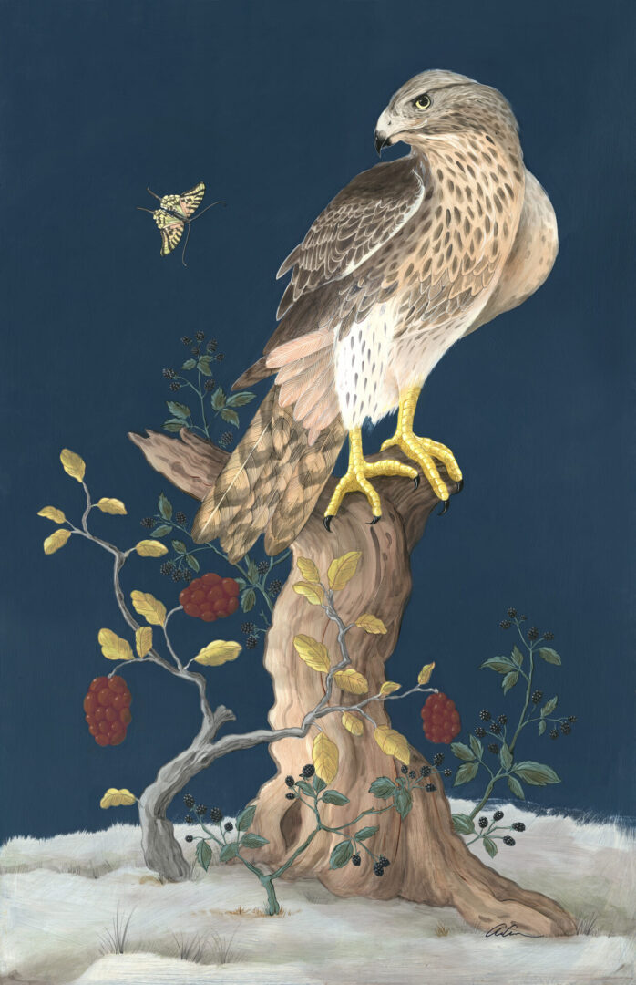 hawk-ward-silence-bird-of-prey-art-painting-by-Allison-Cosmos