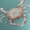 spotted-crab-painting-art-by-Allison-Cosmos