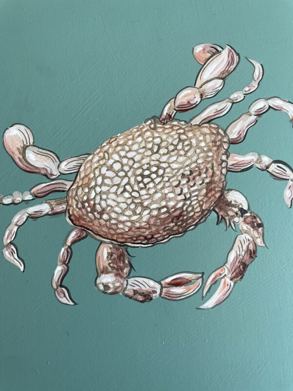 spotted-crab-painting-art-by-Allison-Cosmos