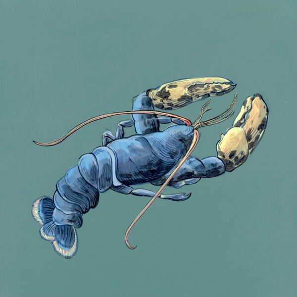 Rule-of-Claw-lobster-art-painting-by-Allison-Cosmos