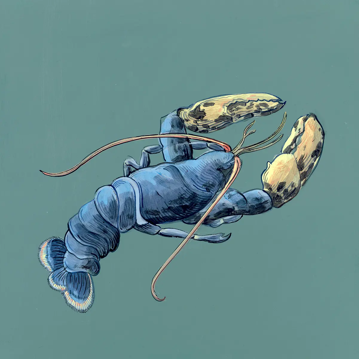 Rule-of-Claw-lobster-art-painting-by-Allison-Cosmos