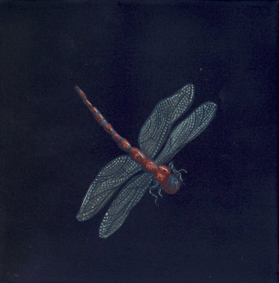 Dragonfly-Dream-black-art-painting-by-Allison-Cosmos