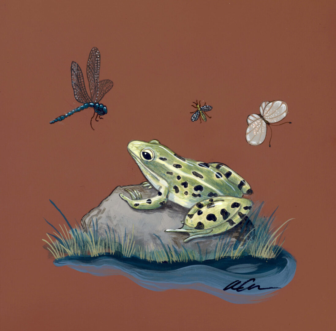 Frog-For-Thought-Chinoiserie-Insects-art-painting-by-Allison-Cosmos