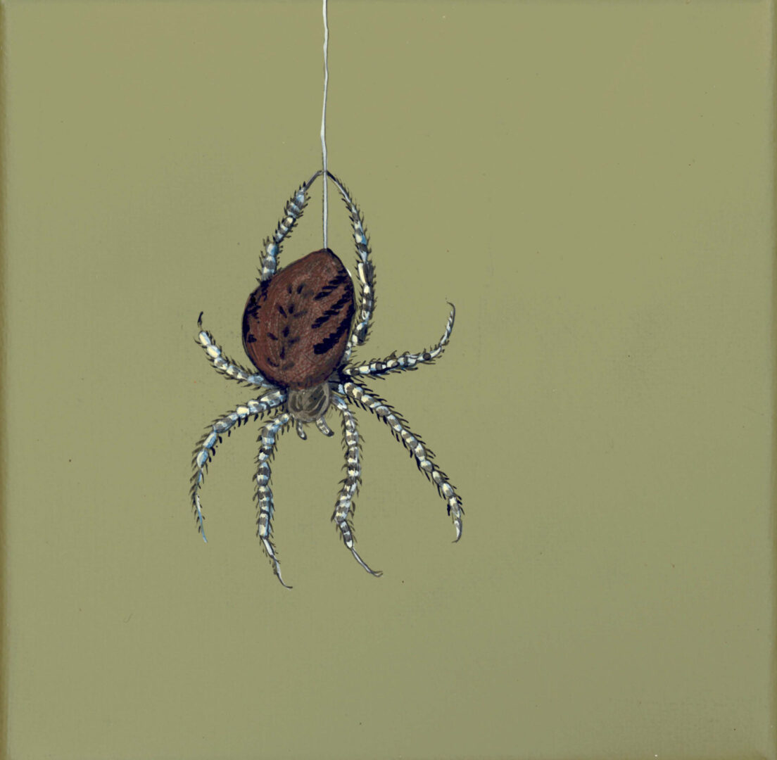 Spider-Sense-arachnid-art-painting-by-Allison-Cosmos