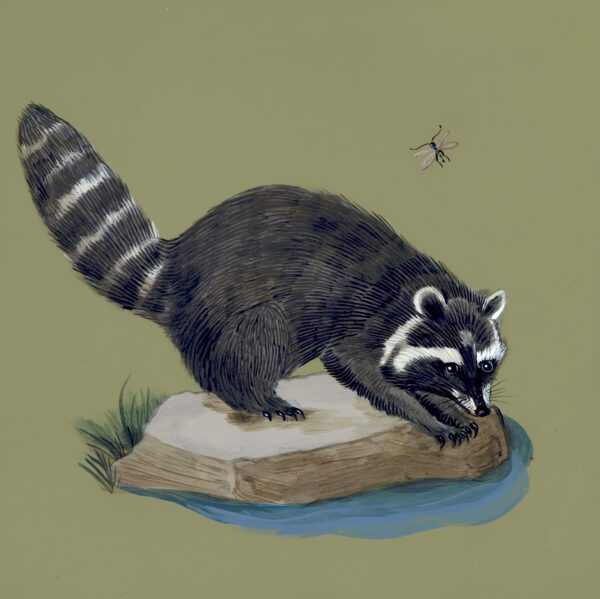 Raccoon-The-Great-Bandito-art-painting-by-Allison-Cosmos