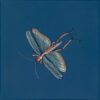 Time-Flies-insect-art-Chinoiserie-painting-by-Allison-Cosmos