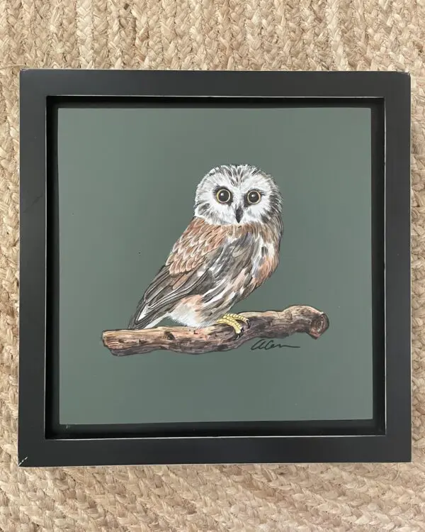 Northern-Saw-Whet-Owl-art-painting-by-Allison-Cosmos