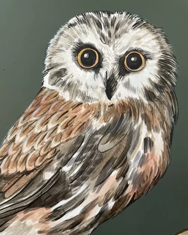 Northern-Saw-Whet-Owl-art-painting-by-Allison-Cosmos