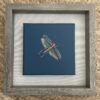 Time-Flies-Insect-art-painting-by-Allison-Cosmos