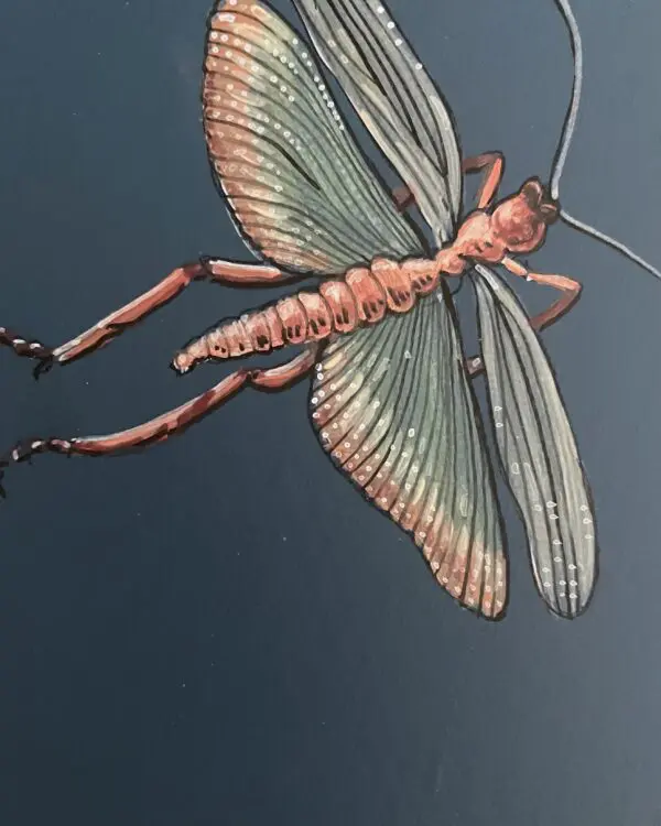 Time-Flies-Insect-art-painting-by-Allison-Cosmos