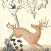 Deerly-Beloved-Deer-Fawn-Chinoiserie-by-Allison-Cosmos