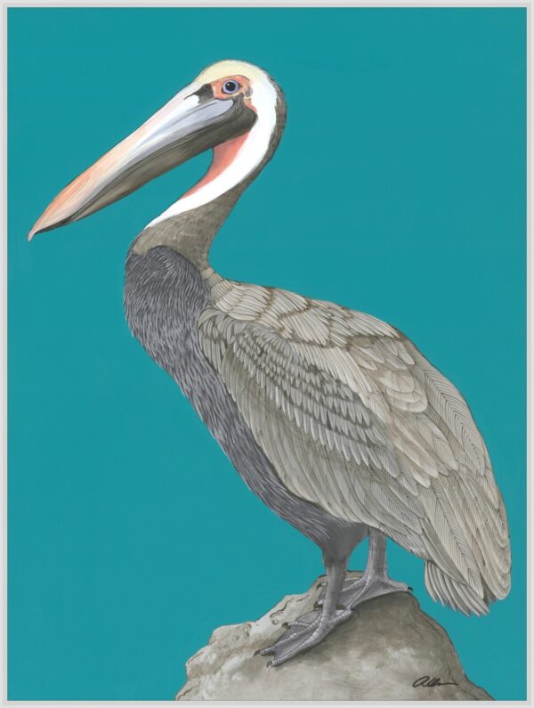 Rock-Steady-pelican-coastal-art-print-painting-by-Allison-Cosmos