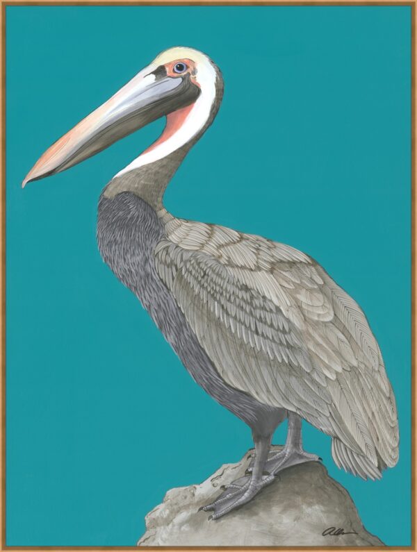 Rock-Steady-pelican-coastal-art-print-painting-by-Allison-Cosmos
