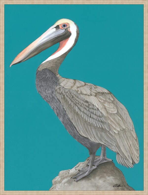 Rock-Steady-pelican-coastal-art-print-painting-by-Allison-Cosmos