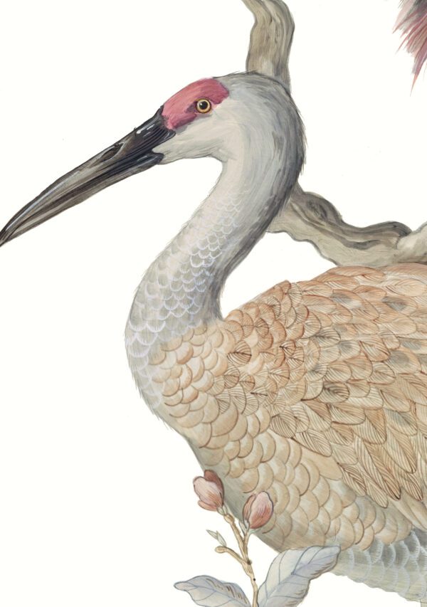 "The Coast Guard" Chinoiserie sandhill crane heron art print - Image 8