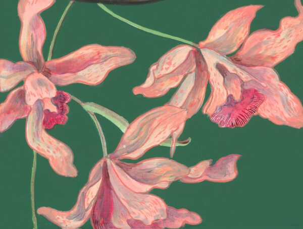 tropical-orchid-wallpaper-pattern