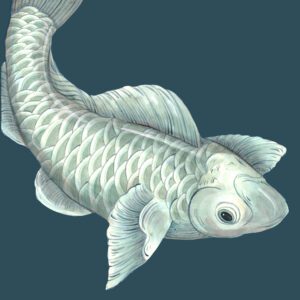 koi-fish-carp-Chinoiserie-art-painting-by-Allison-Cosmos