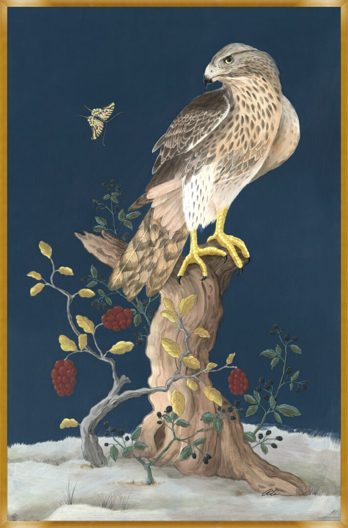 Hawkward-Silence-Ferruginous-hawk-Chinoiserie-art-print-by-Allison-Cosmos