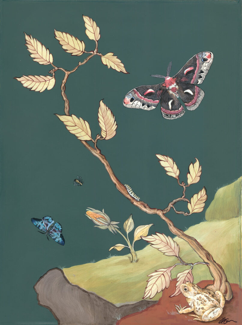 Beauty-and-the-Bee-insect-moth-butterfly-toad