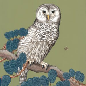 Friends-Barred-None-Chinoiserie-barred-owl-painting-by-Allison-Cosmos