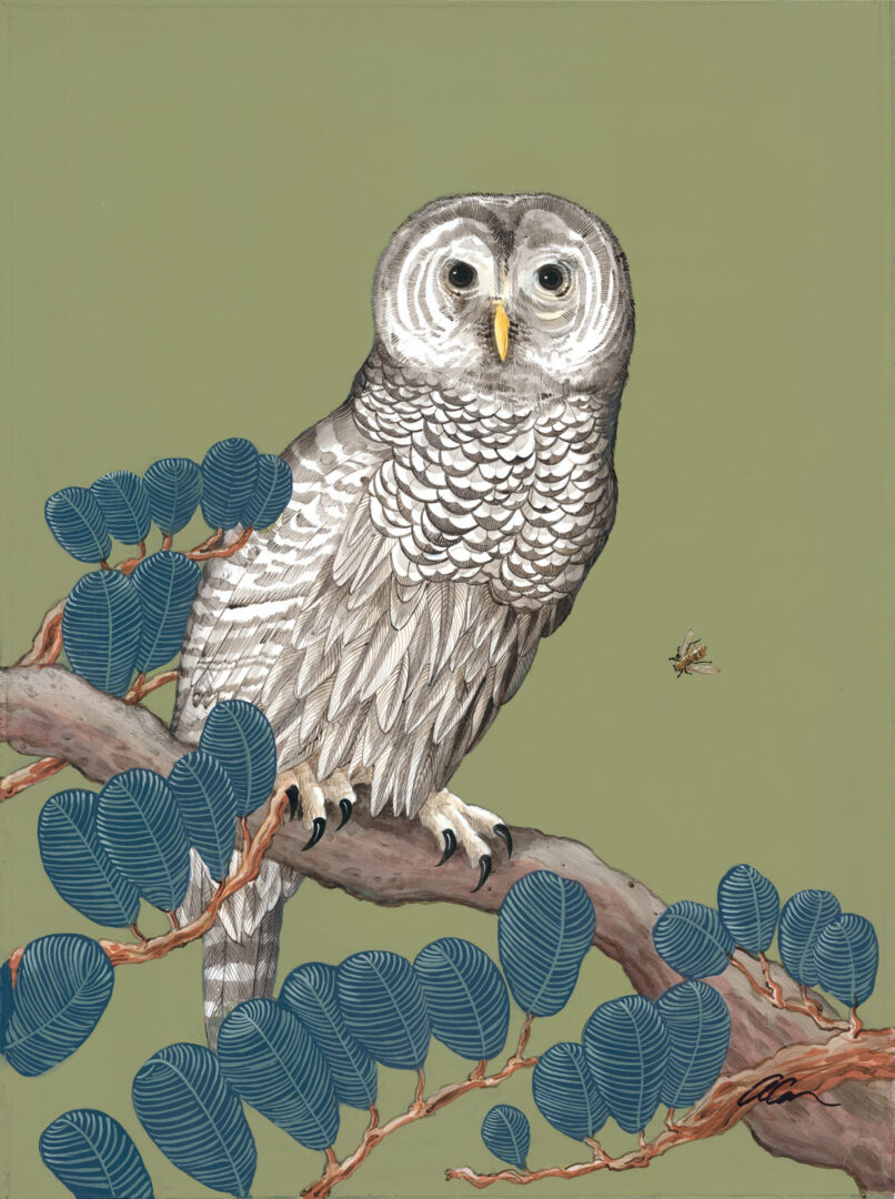 Friends-Barred-None-Chinoiserie-barred-owl-painting-by-Allison-Cosmos