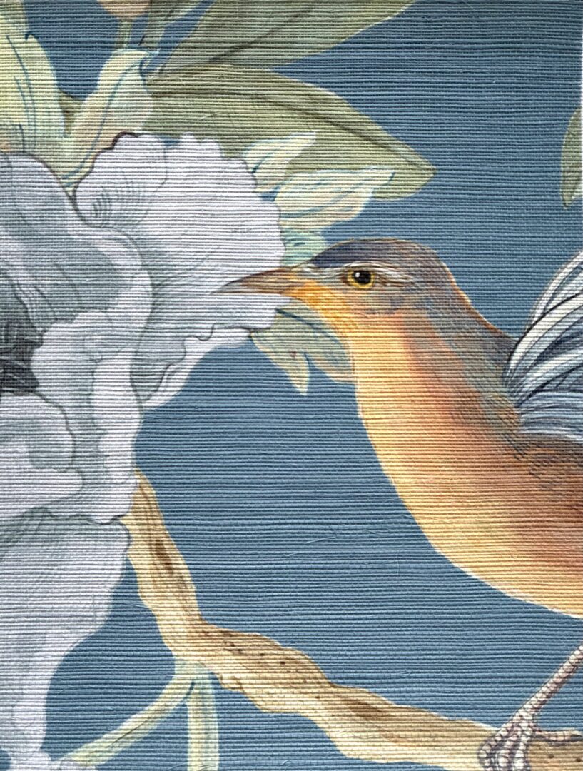 All-Things-Flight-and-Beautiful-grasscloth-memo-wallpaper-by-Allison-Cosmos